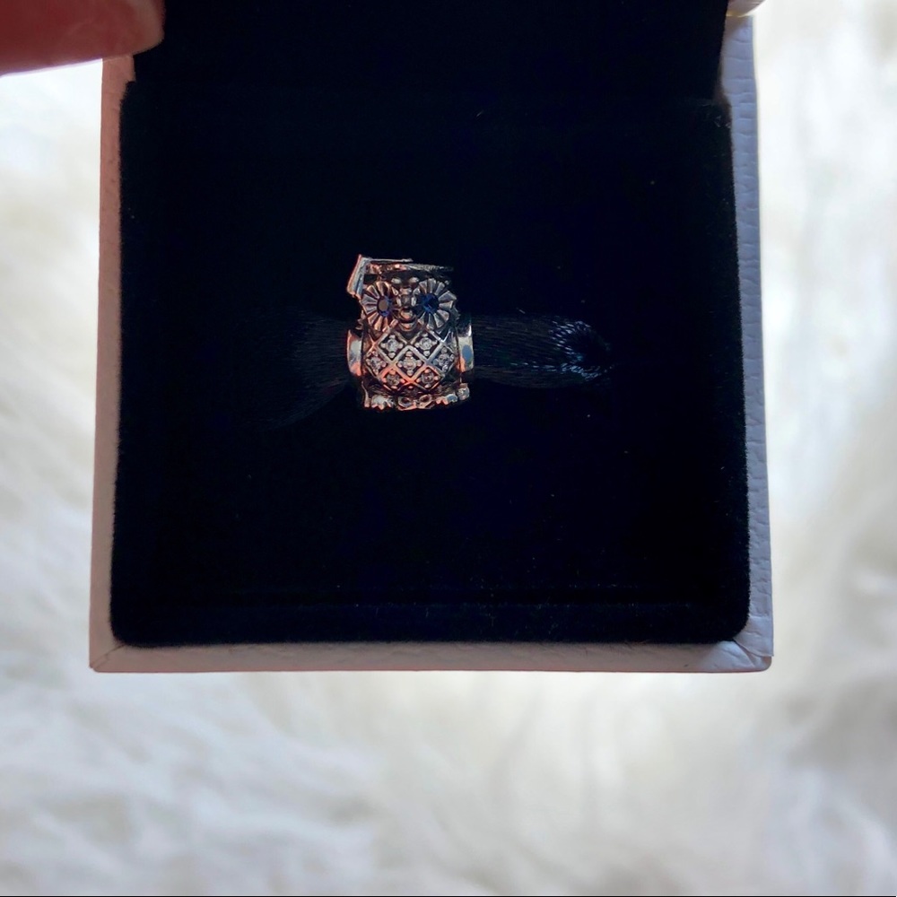 PANDORA Graduate Owl Charm